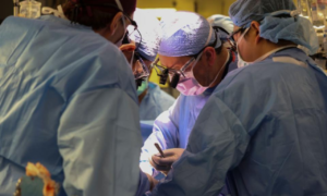 Groundbreaking Surgery: Man Receives Pig Kidney Transplant