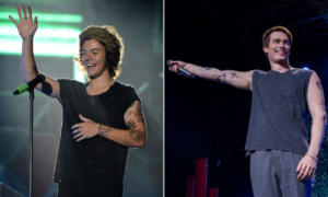 Is The Idea of You Based on Harry Styles? Breaking Down the References